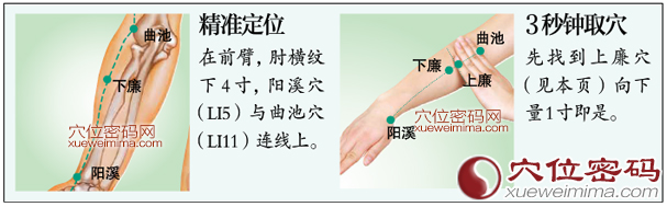 下廉穴的准确位置