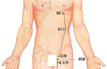 期门穴的位置图
