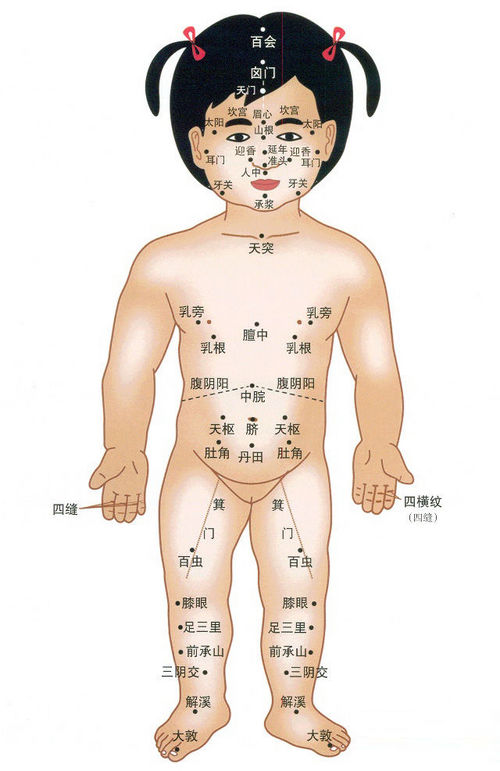 宝宝正面穴位图