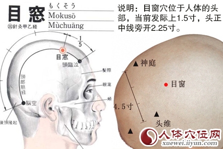 目窗穴位位置图