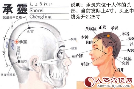 承灵穴的位置图