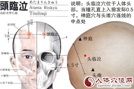 头临泣穴的位置图