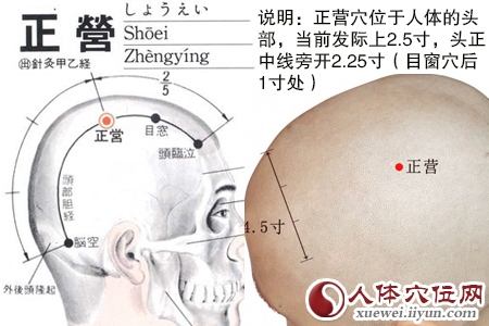 正营穴位位置图