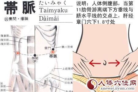 带脉穴的位置图